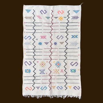 Modern Berber Rug – Delicate Multi-colored Geometric Patterns